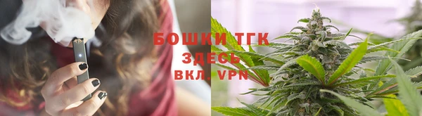 стаф Аркадак