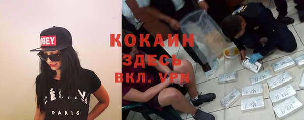 стаф Аркадак