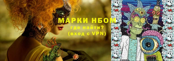 стаф Аркадак